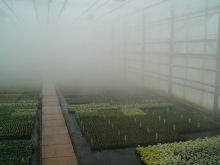 Alpha Plants Micro Fog Unit